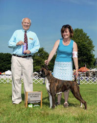 Newlaithe Enchantment Best of Winners