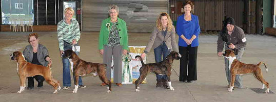Left - CH Newlaithe Just Stunning ShCM BEST VETERAN IN SHOW