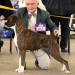 Newlaithe Hot Heels in the ring with Arthur