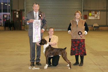 Anglian Boxer Club 2008